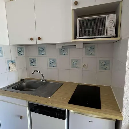 Lejlighed T2 Avec Piscine, Lave-vaisselle, A 150m, Animaux Acceptes - Fr-1-702-42 *